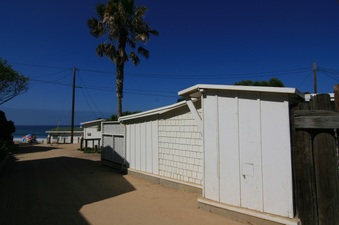 Enlarge photo 65