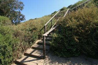 Enlarge photo 69