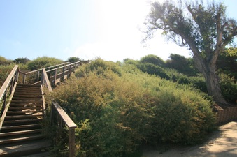 Enlarge photo 70