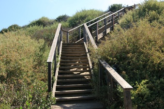 Enlarge photo 71