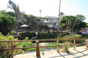 Enlarge photo 76