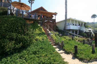 Enlarge photo 92