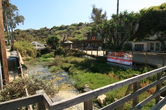 Enlarge photo 98