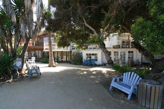 Enlarge photo 99