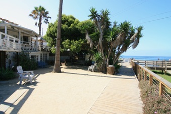 Enlarge photo 103