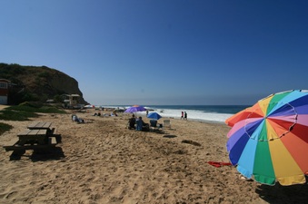 Enlarge photo 111