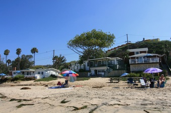 Enlarge photo 113