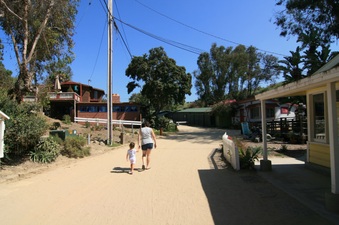 Enlarge photo 126