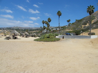 Enlarge photo 29