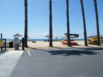Enlarge photo 37