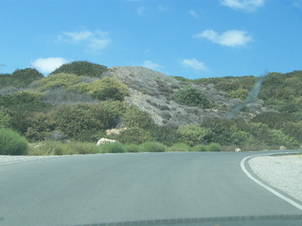 Enlarge photo 39