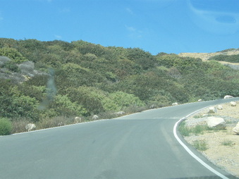 Enlarge photo 40