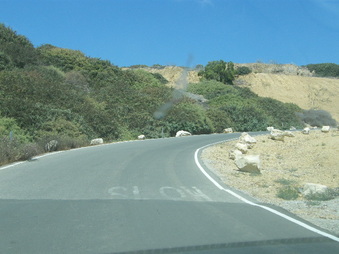 Enlarge photo 41
