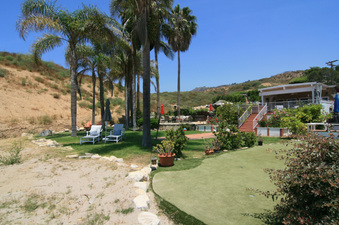 Enlarge photo 57