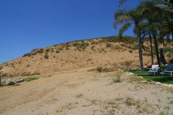 Enlarge photo 59