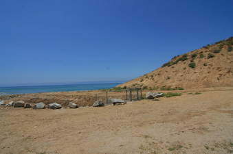 Enlarge photo 60