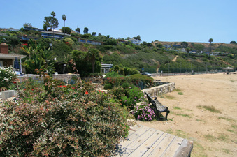 Enlarge photo 63
