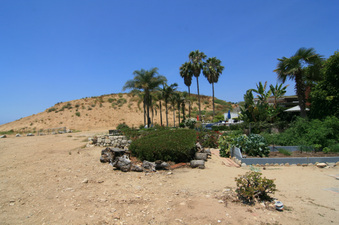 Enlarge photo 71