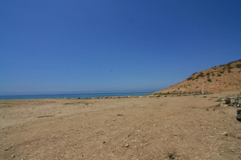 Enlarge photo 72