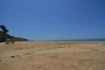 Enlarge photo 73