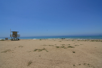 Enlarge photo 80