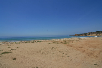 Enlarge photo 82