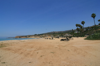 Enlarge photo 83