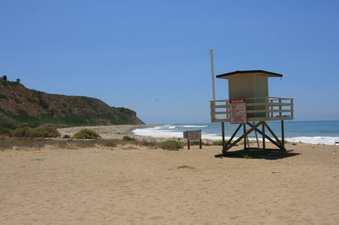 Enlarge photo 85