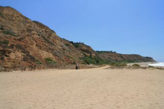Enlarge photo 86