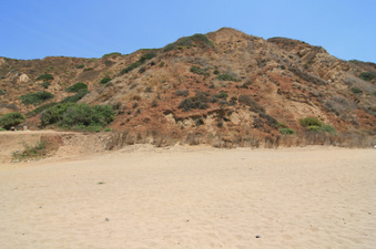 Enlarge photo 87
