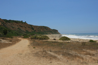 Enlarge photo 92