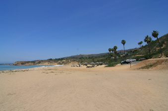 Enlarge photo 93