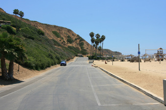 Enlarge photo 95