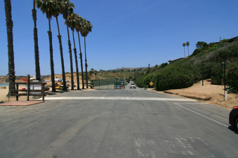 Enlarge photo 96