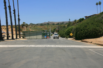 Enlarge photo 97