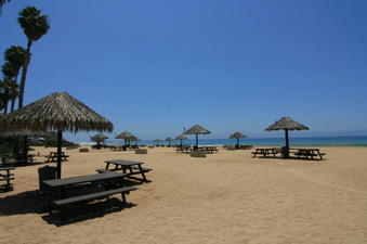 Enlarge photo 105