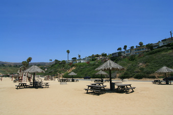 Enlarge photo 110