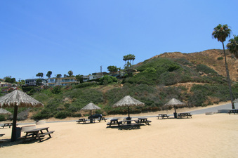 Enlarge photo 111
