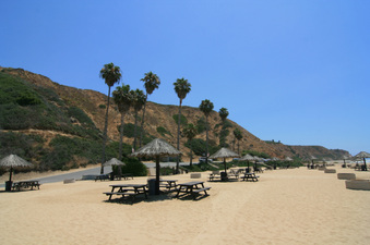 Enlarge photo 112