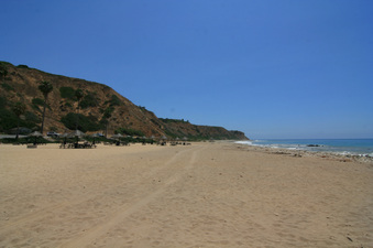 Enlarge photo 115