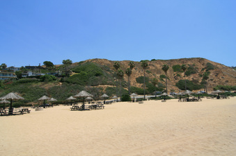 Enlarge photo 116