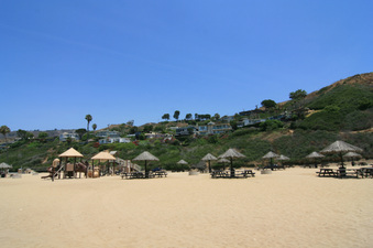Enlarge photo 117