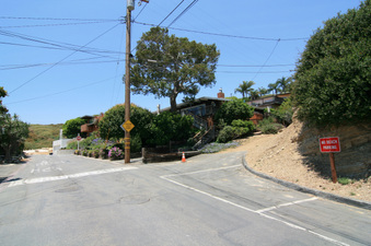 Enlarge photo 137
