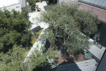 Enlarge photo 31