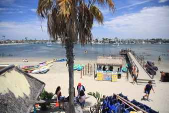 Enlarge photo 37