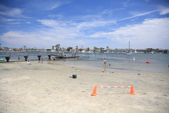 Enlarge photo 39