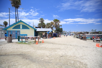Enlarge photo 40