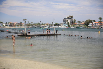 Enlarge photo 42