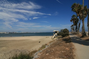 Enlarge photo 67