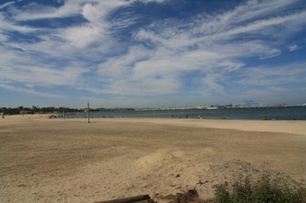 Enlarge photo 66